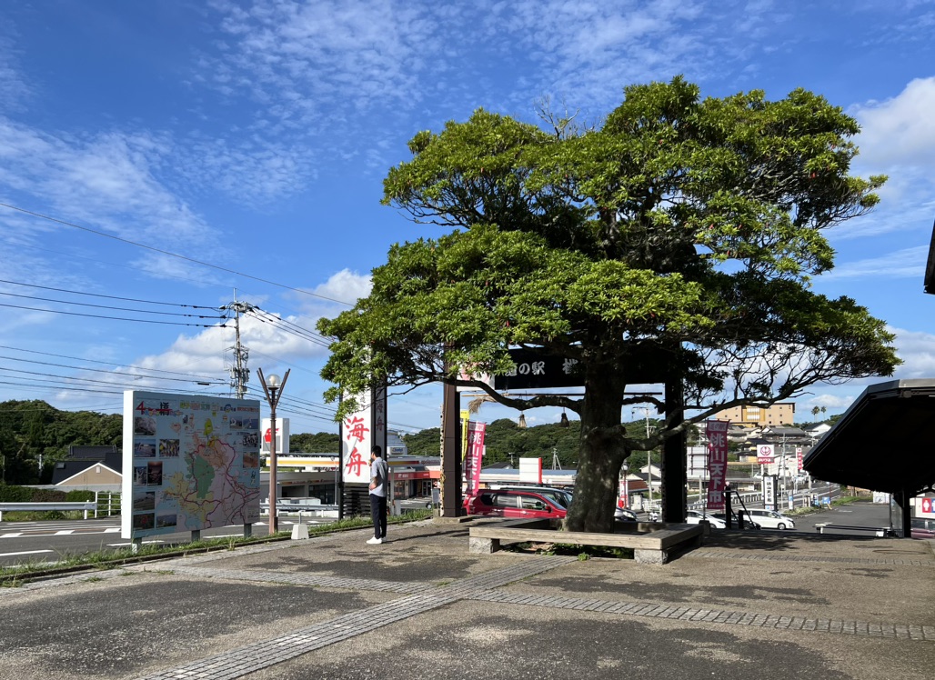 道の駅 桃山天下市の写真