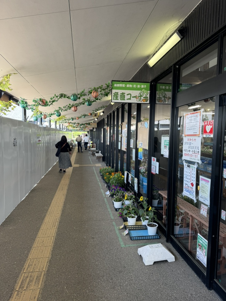 道の駅 ふれあいの里HASUパークの写真