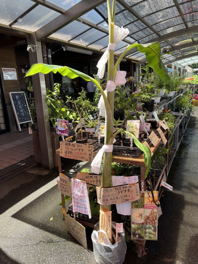 道の駅 すえよしの写真
