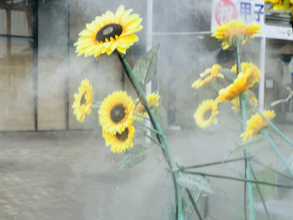 道の駅 しもつけの写真