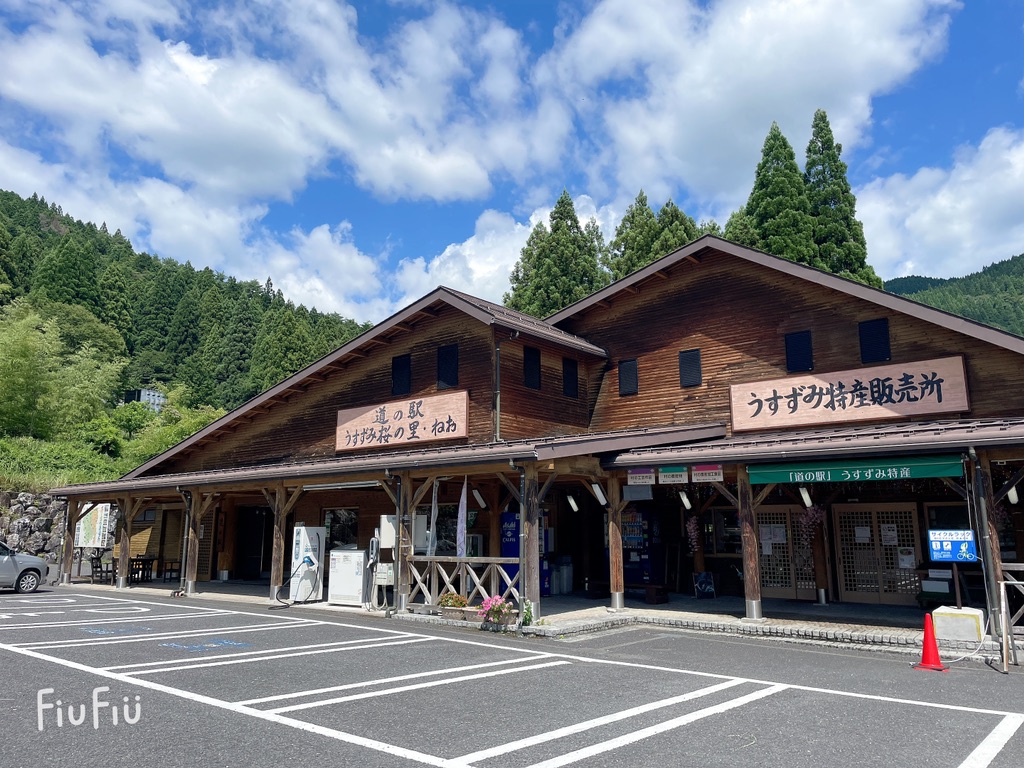 道の駅 うすずみ桜の里・ねおの写真