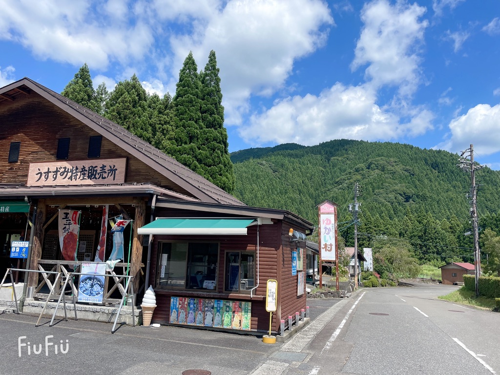 道の駅 うすずみ桜の里・ねおの写真