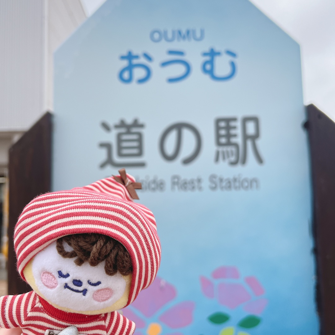 道の駅 おうむの写真