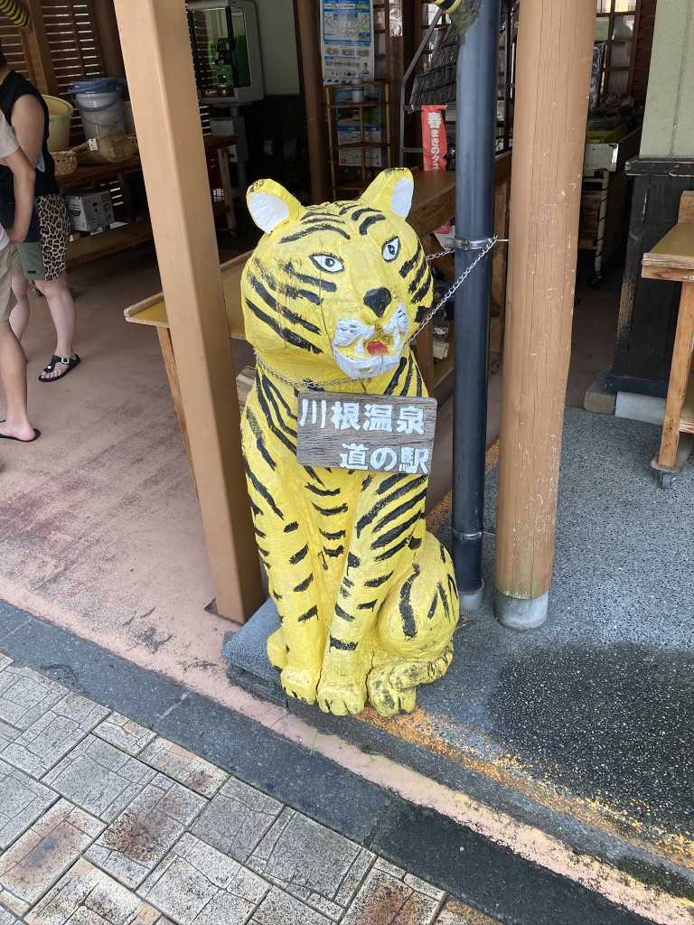 道の駅 川根温泉の写真