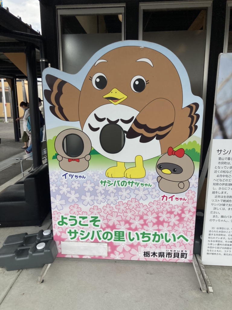 道の駅 サシバの里いちかいの写真