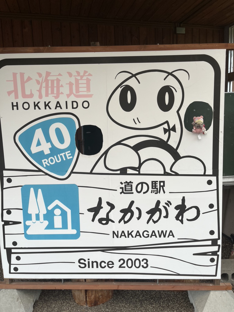 道の駅 なかがわの写真