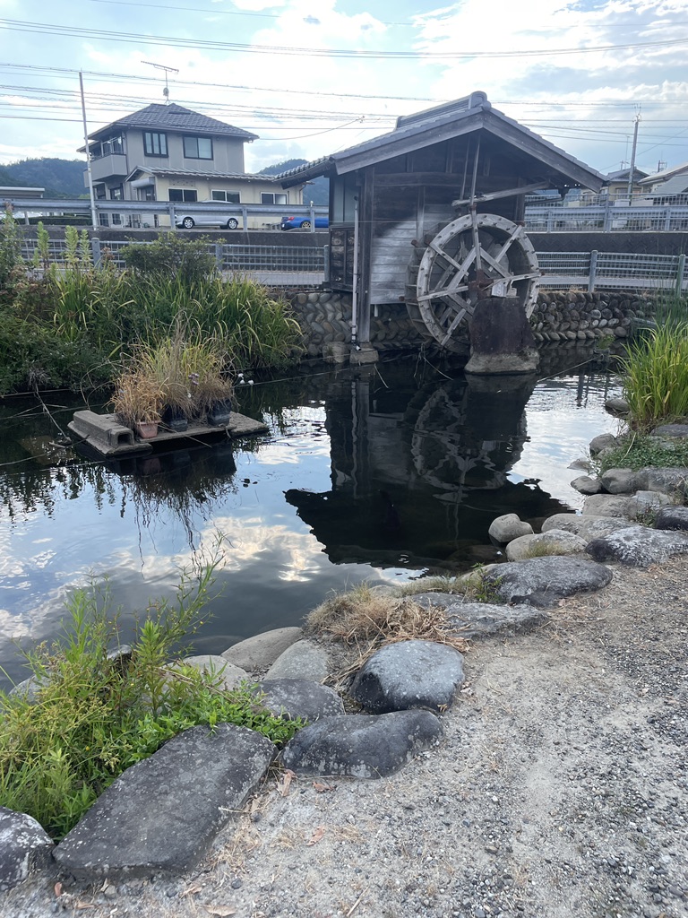 道の駅 むげ川の写真