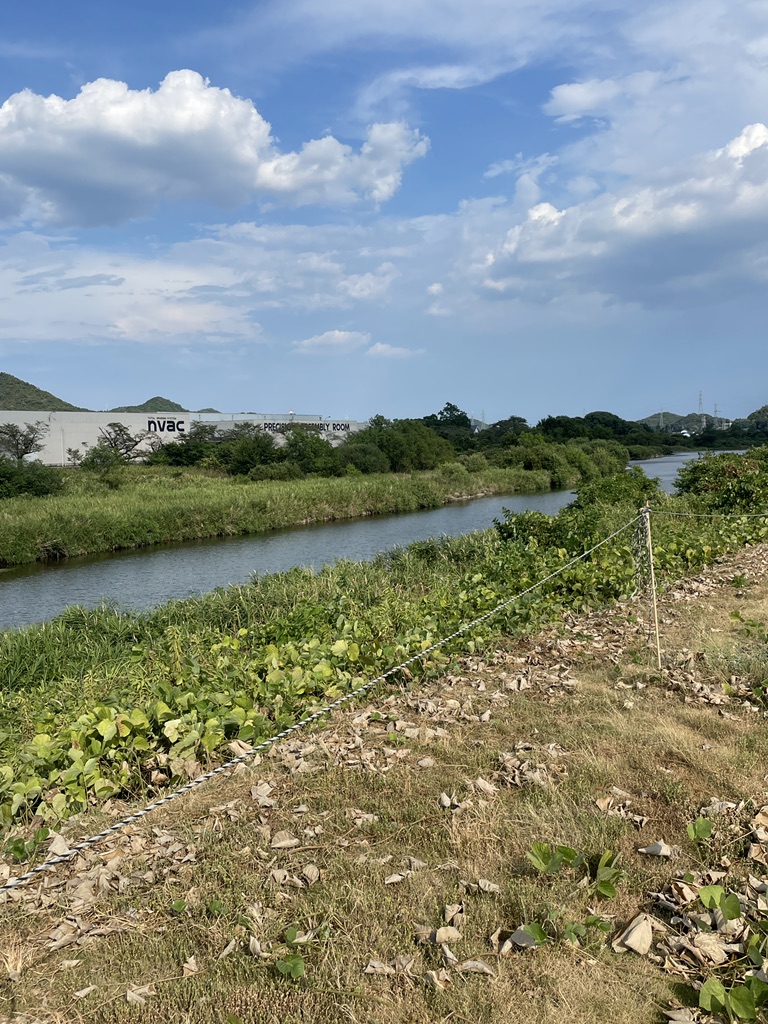 道の駅 むげ川の写真