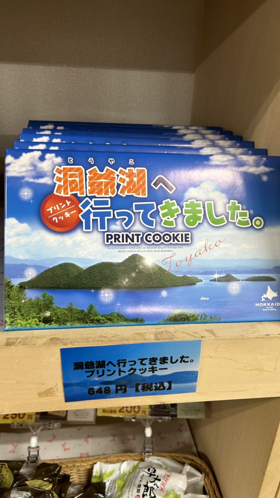 道の駅 とうや湖の写真