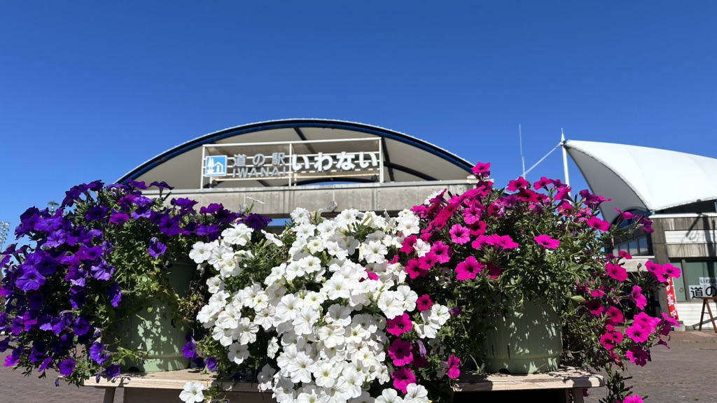 道の駅 いわないの写真