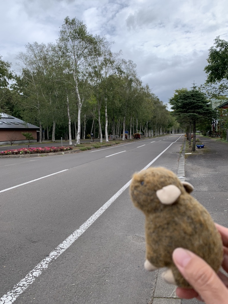 道の駅 摩周温泉の写真