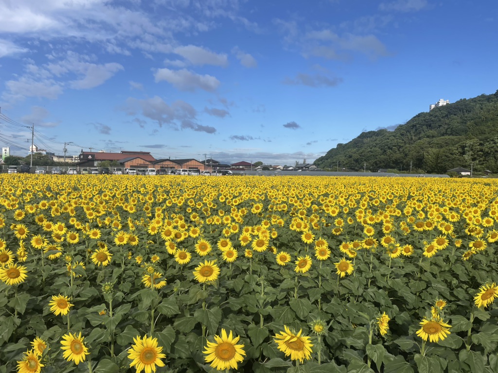 道の駅 原鶴の写真