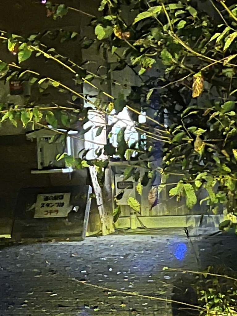 道の駅 しみずの写真