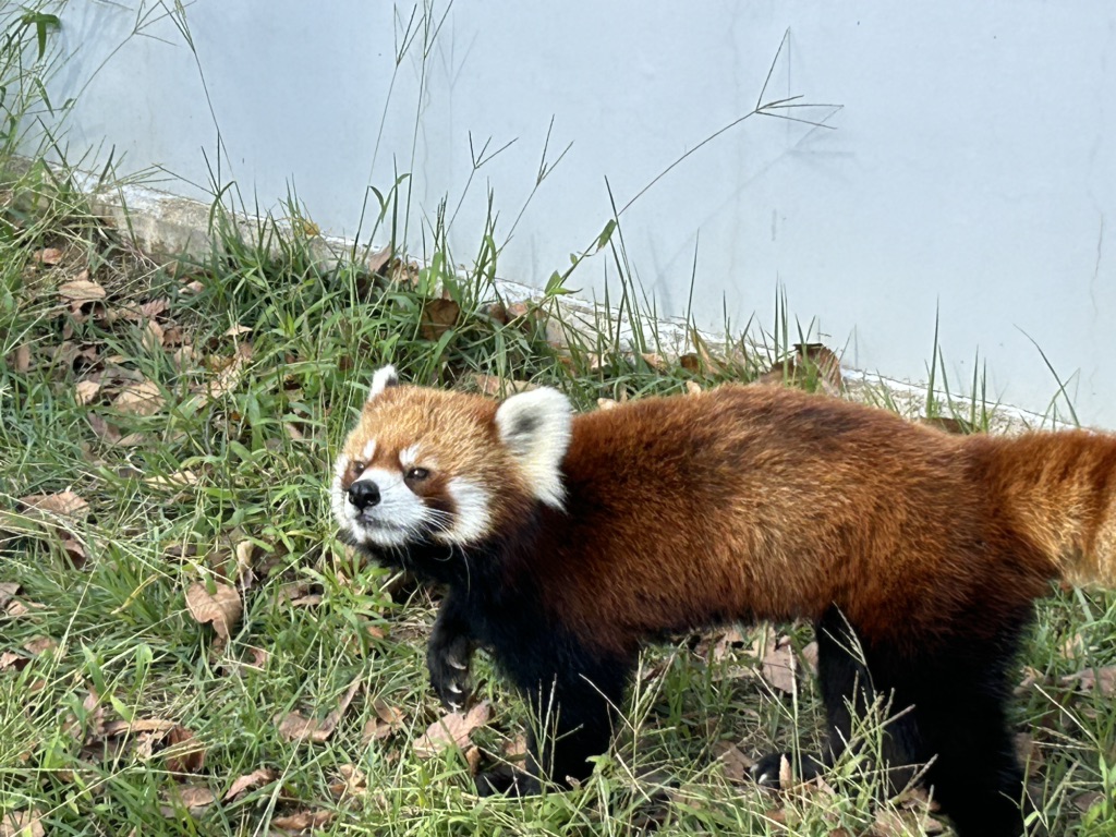 道の駅 西山公園の写真