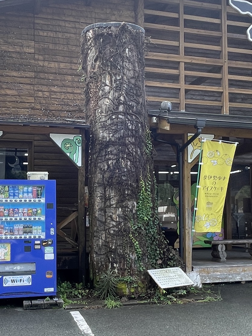 道の駅 奥伊勢木つつ木館の写真