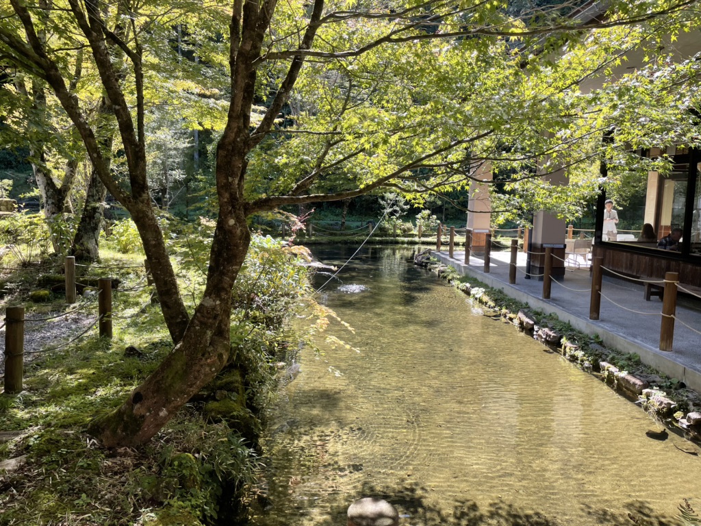 道の駅 ひだ朝日村の写真