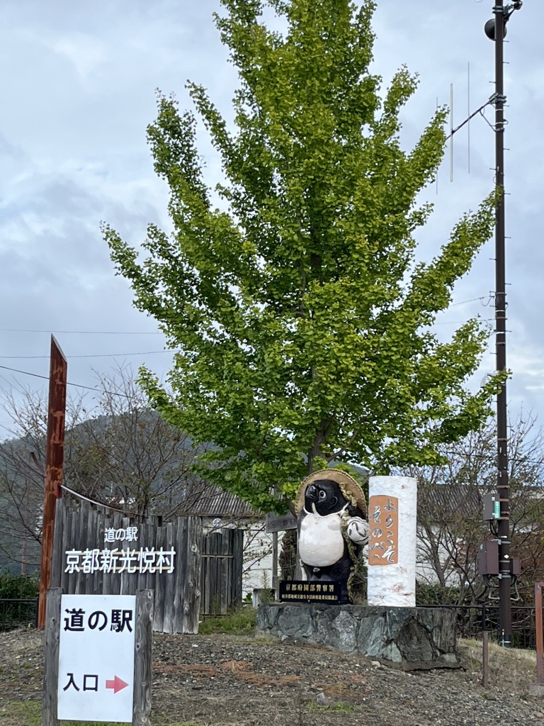 道の駅 京都新光悦村の写真