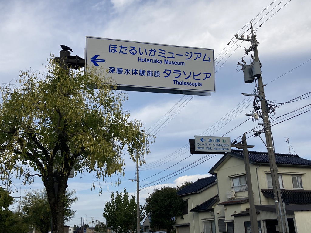 道の駅 ウェーブパークなめりかわの写真