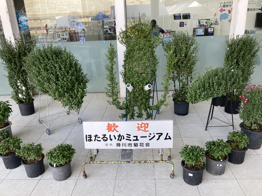 道の駅 ウェーブパークなめりかわの写真
