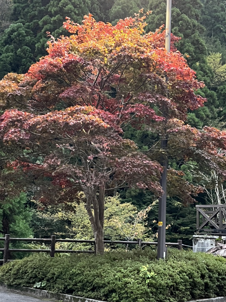 道の駅 スパ羅漢の写真