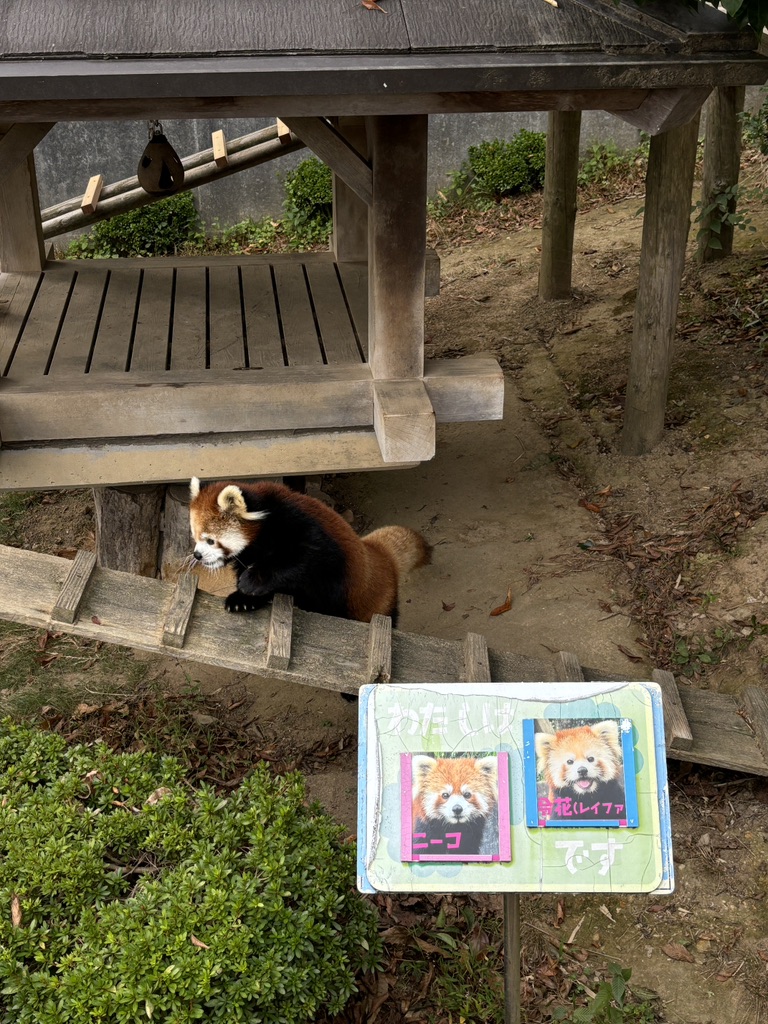 道の駅 西山公園の写真