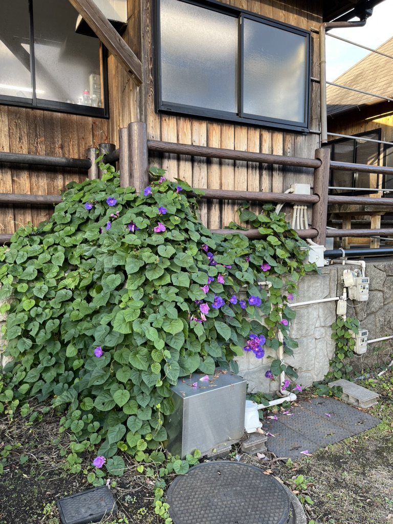 道の駅 ゆふいんの写真