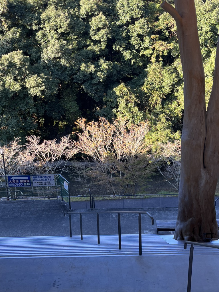 道の駅 美里「佐俣の湯」の写真