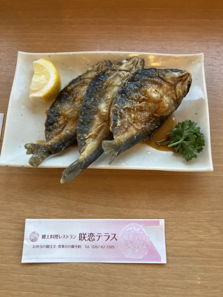 道の駅 ヘルシーテラス佐久南の写真