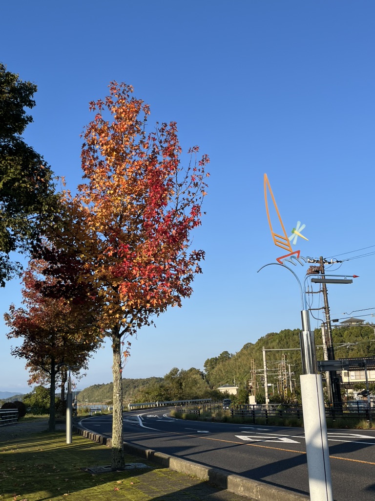 道の駅 秋鹿なぎさ公園の写真