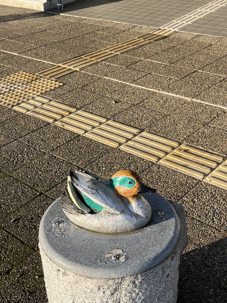 道の駅 秋鹿なぎさ公園の写真