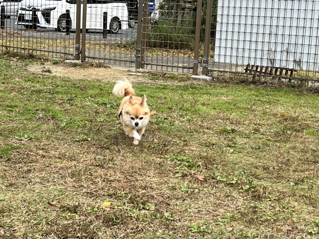 道の駅 いがの写真