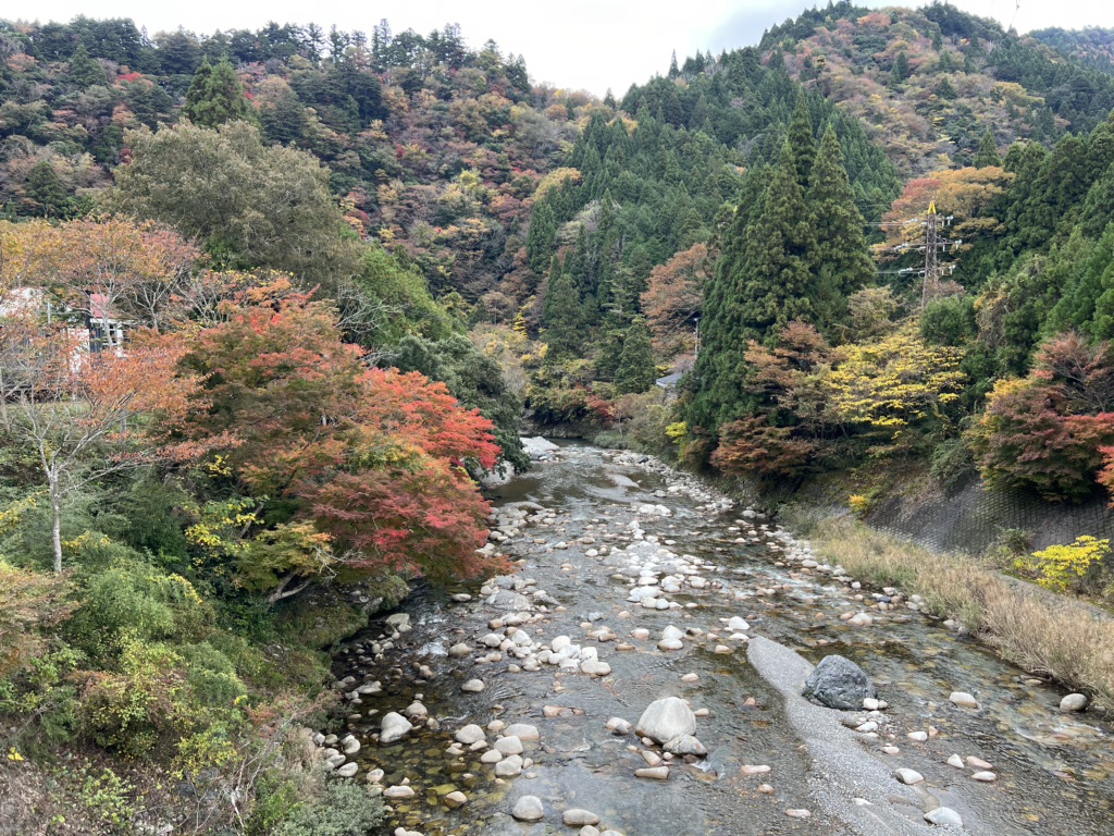 道の駅 奥永源寺渓流の里の写真