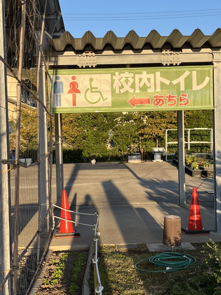 道の駅 保田小学校の写真