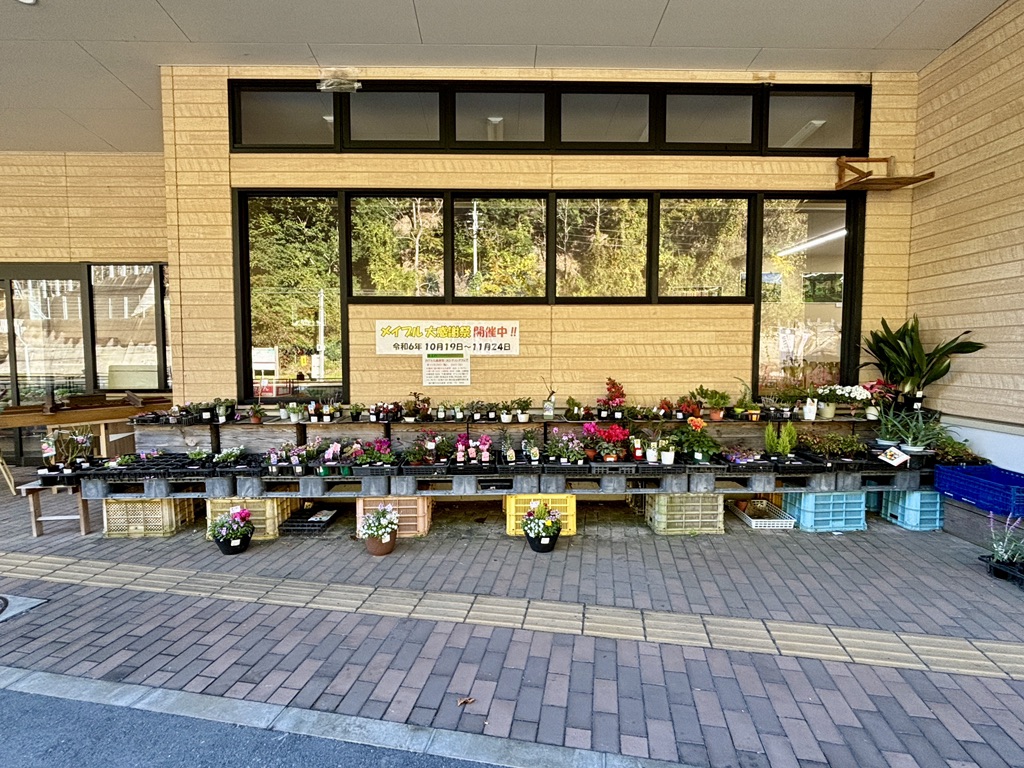 道の駅 みなみ波賀の写真