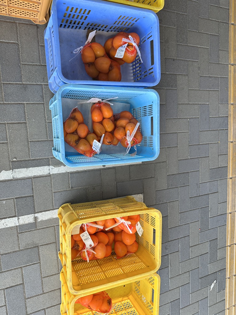 道の駅 月見の里　南濃の写真