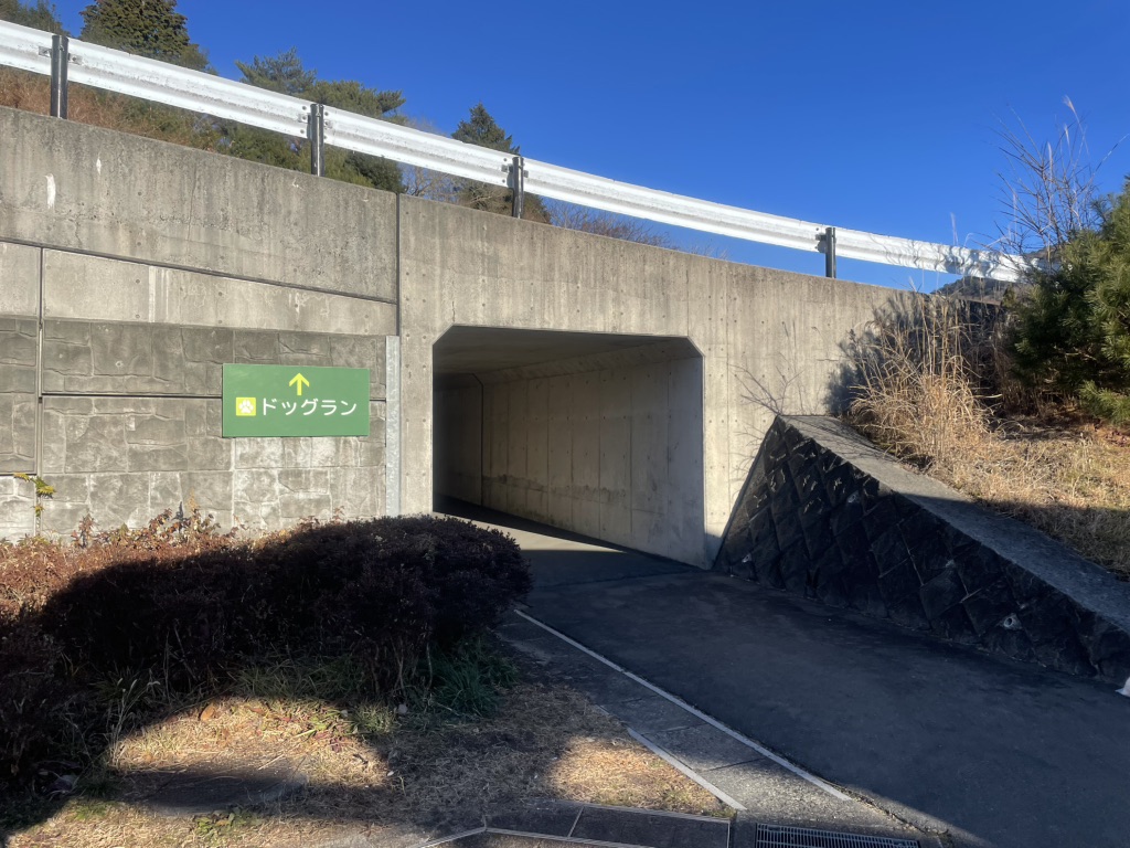 道の駅 すばしりの写真