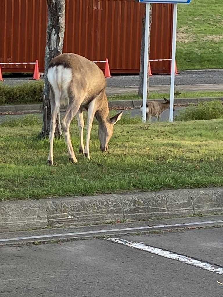 道の駅 厚岸グルメパークの写真