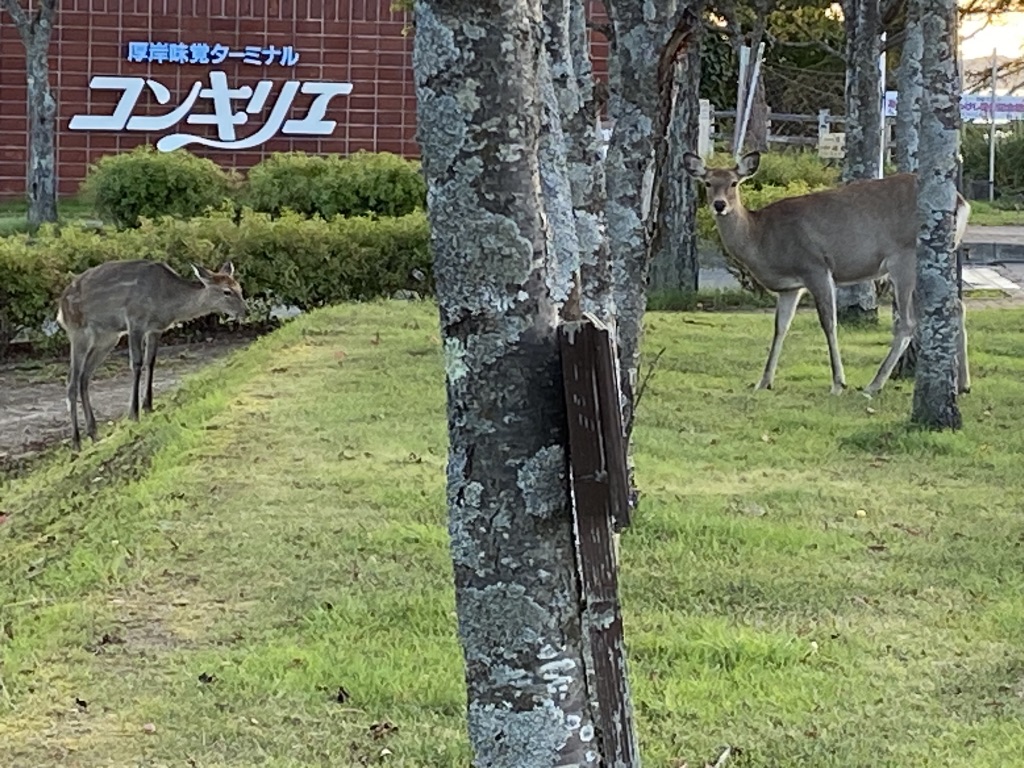 道の駅 厚岸グルメパークの写真