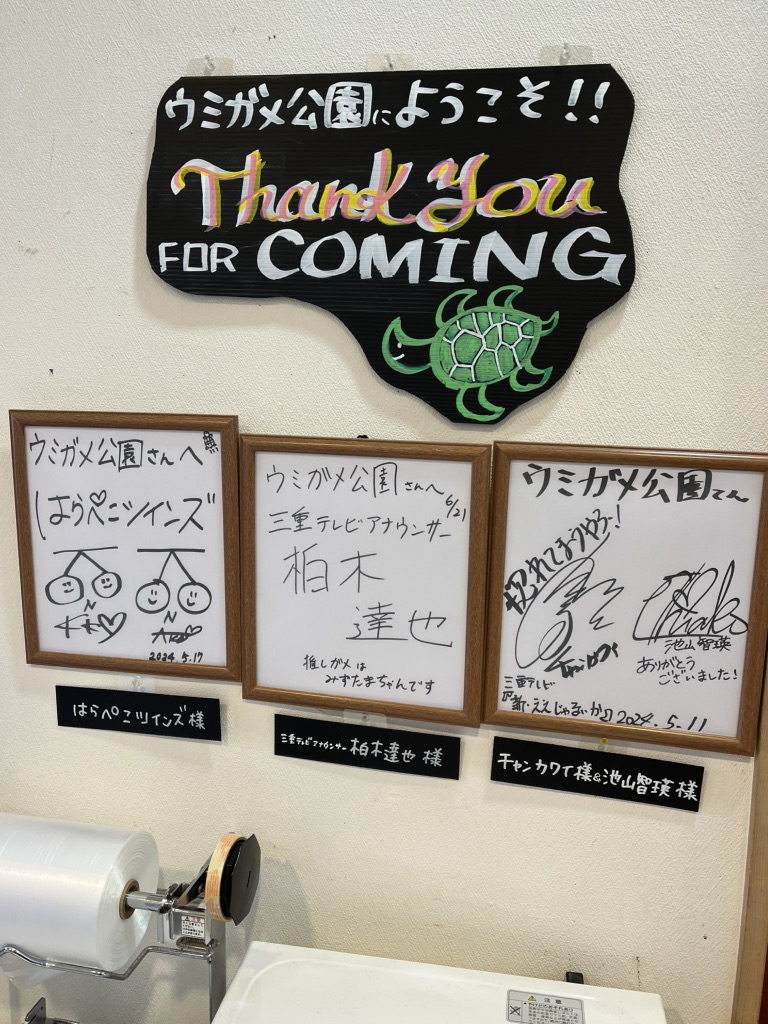 道の駅 紀宝町ウミガメ公園の写真