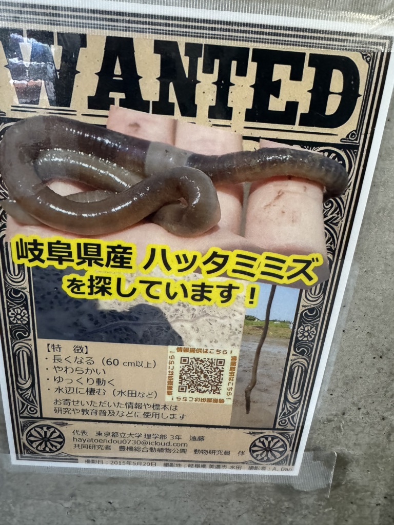 道の駅 美濃にわか茶屋の写真