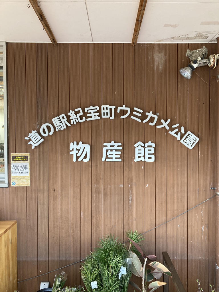 道の駅 紀宝町ウミガメ公園の写真