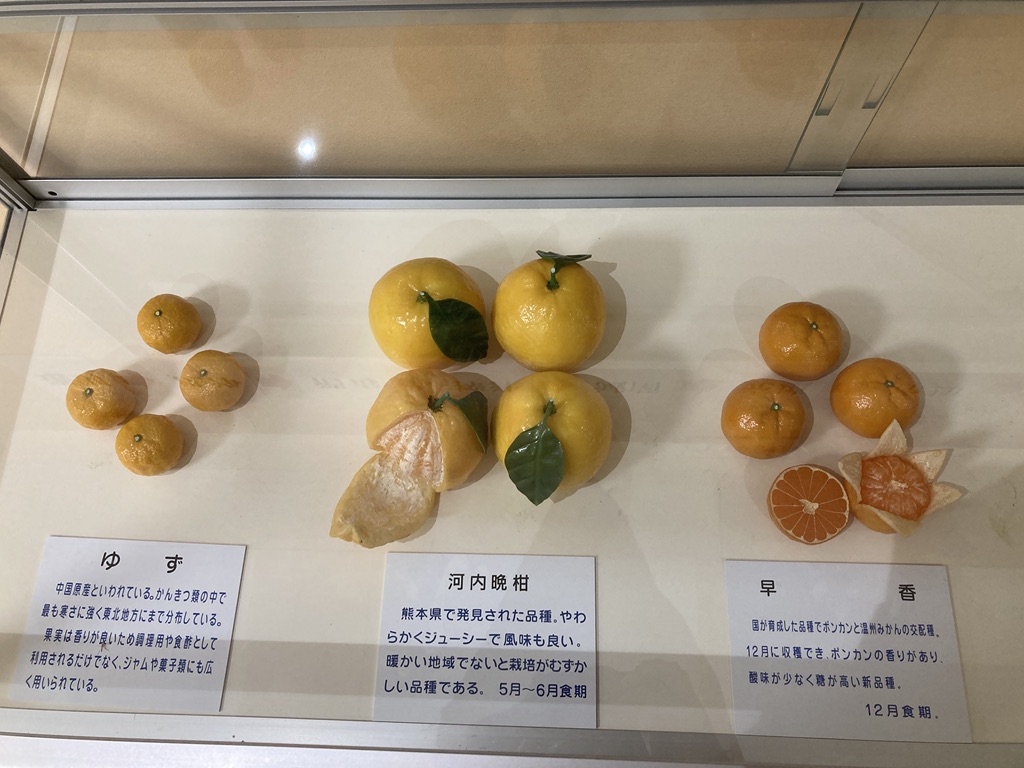 道の駅 パーク七里御浜の写真