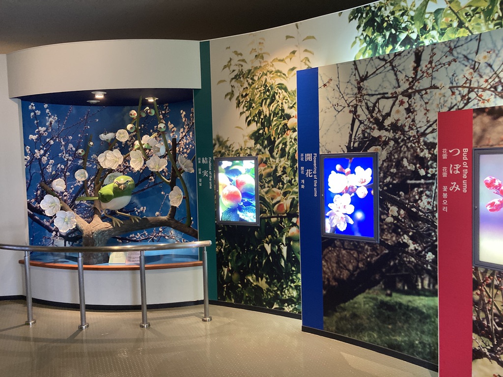 道の駅 みなべうめ振興館の写真