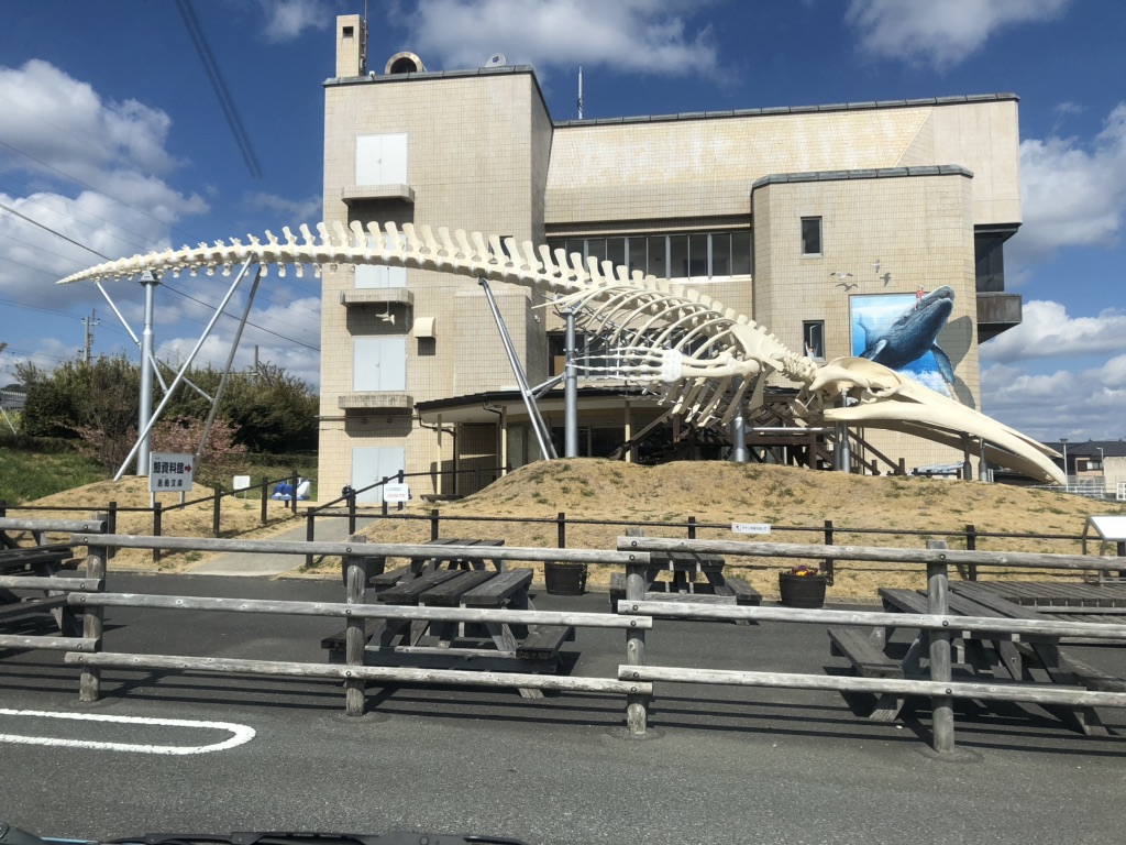 道の駅 和田浦　WA・O！の写真