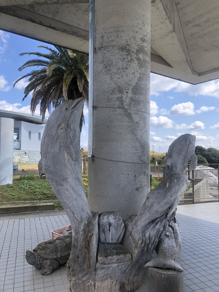 道の駅 鴨川オーシャンパークの写真
