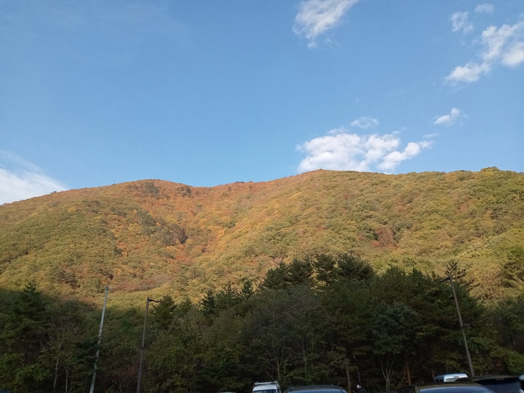 道の駅 尾瀬檜枝岐の写真