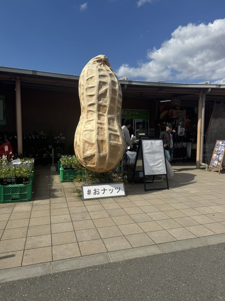 道の駅 木更津うまくたの里の写真