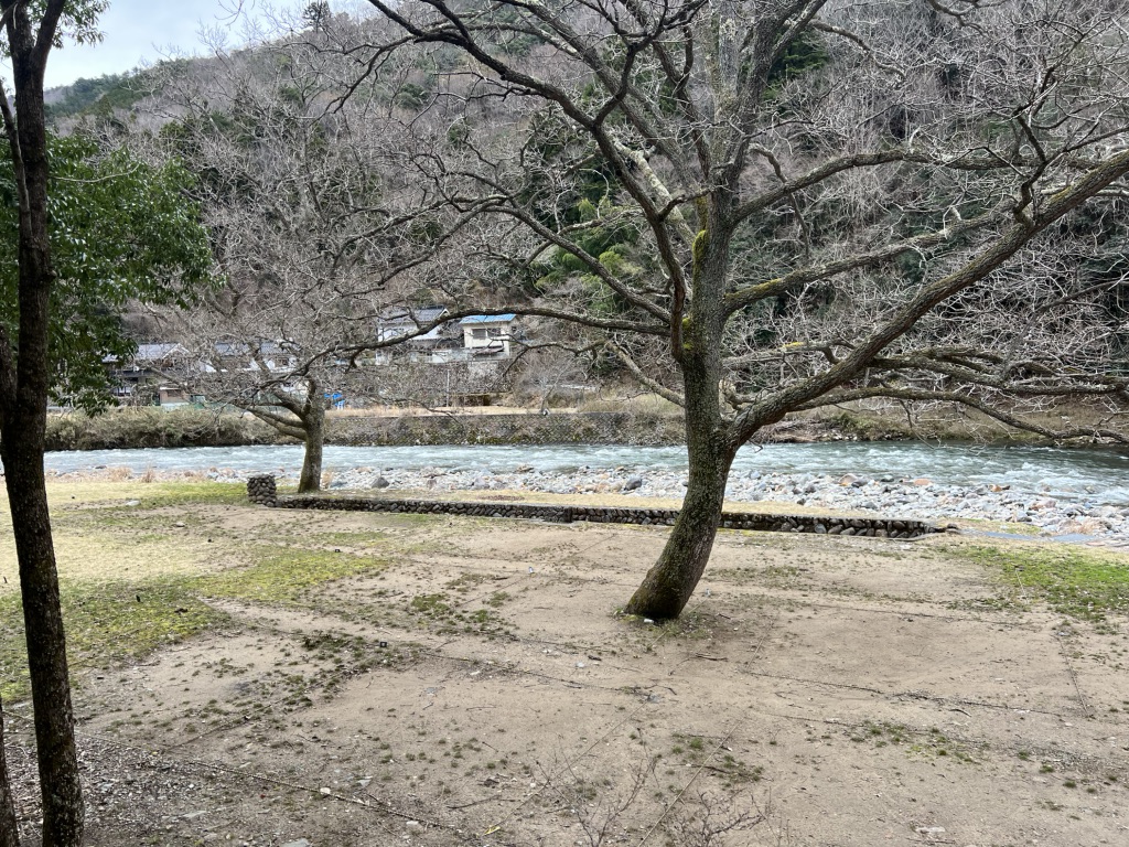 道の駅 ちくさの写真