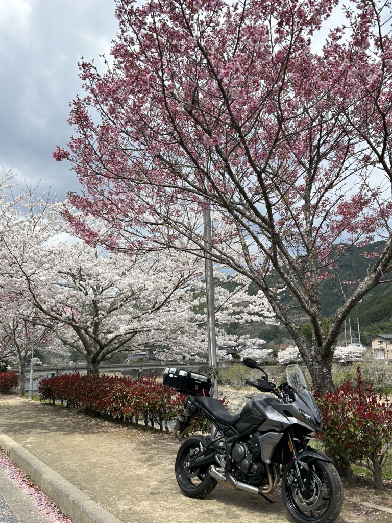 道の駅 水辺の郷おおやまの写真