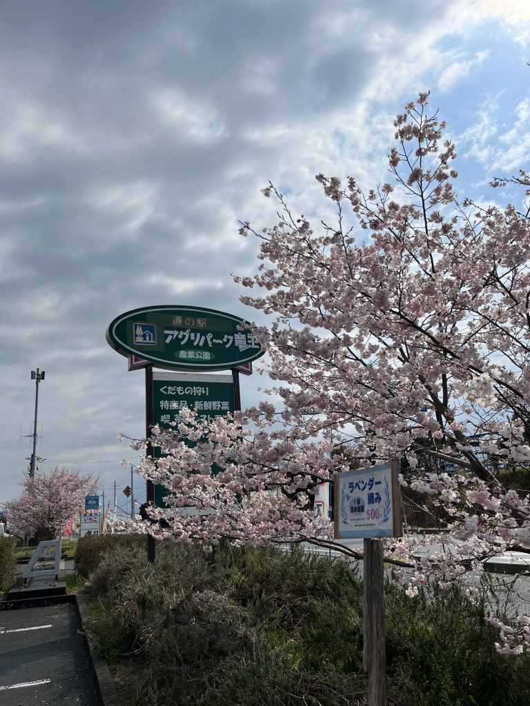 道の駅 アグリパーク竜王の写真